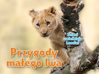 Przygody małego lwa – grupowe zajęcia logopedyczne